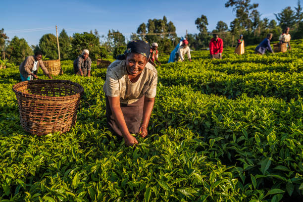 Climate and Agriculture