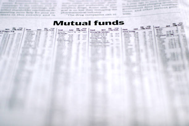 What Does Mutual Fund Mean 