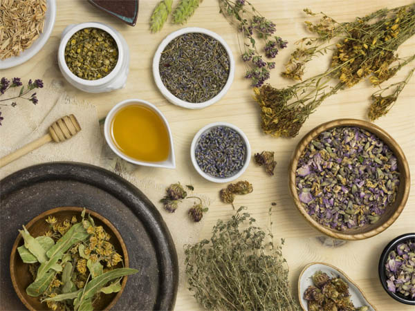 The Role of Traditional African Medicine in Modern Healthcare 