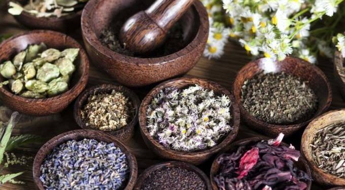 Traditional African Medicine in Mmodern Healthcare