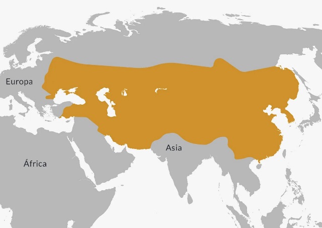 A visual representation of the map of the Mongol Empire