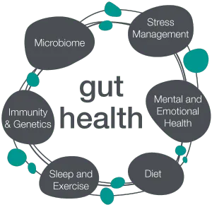 The importance of a healthy gut.