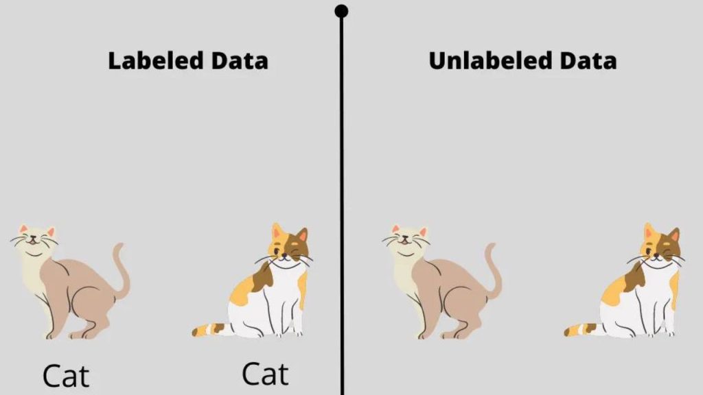 Labelled Data vs Unlabelled Data