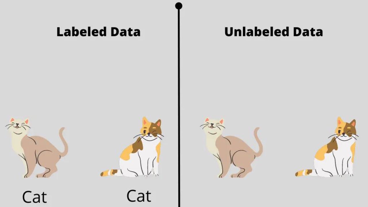 Labelled Data vs UnLabelled Data