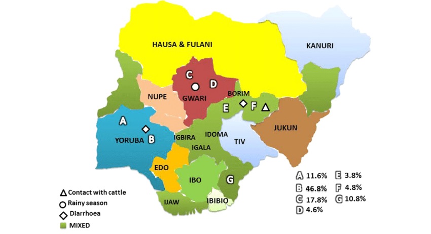 A chart showing Nigerian tribes