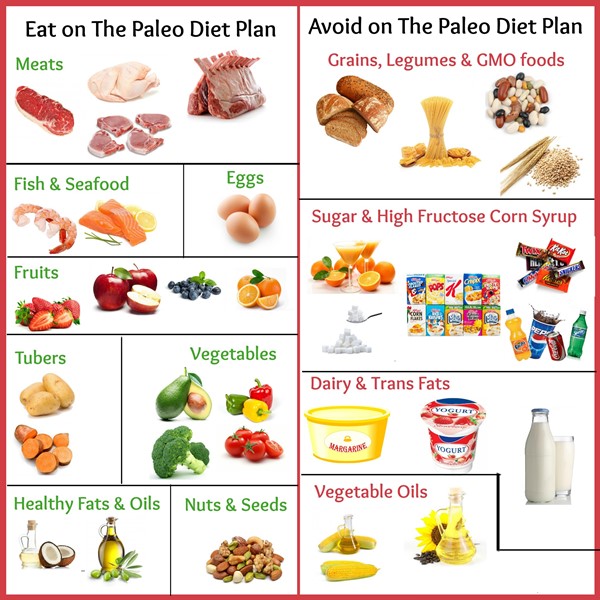 Implementing the Paleolithic diet into your meal routine