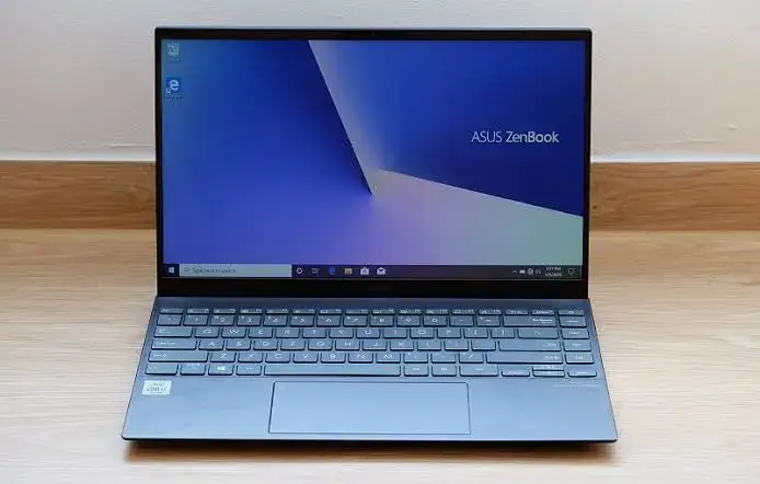 Asus ZenBook UX425 for a remote worker