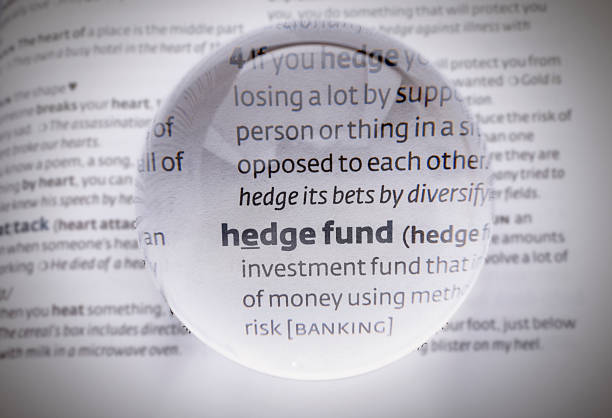 What is a Hedge Fund