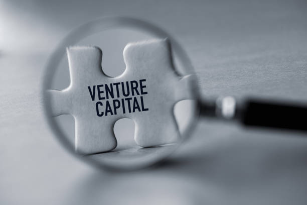 What is Venture capital