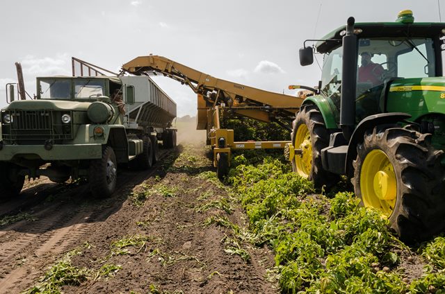 Case studies of successful African agriculture innovations in the continent.