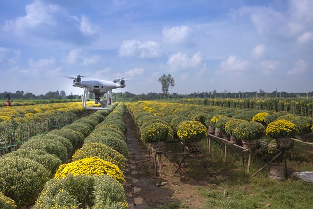 Precision agriculture and drones for African farmers