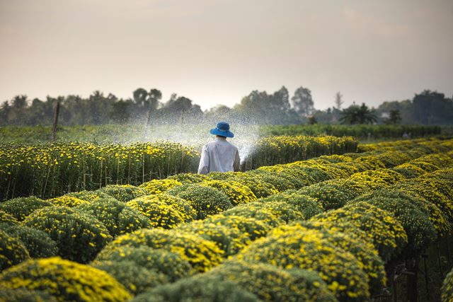 Even when farmers increase their produces, there is still a limited access to markets