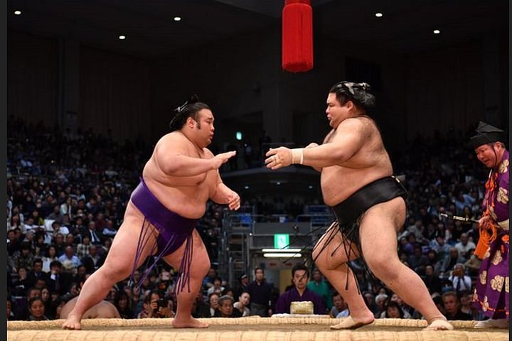 Sumo Wrestling's Impact on Japanese Culture