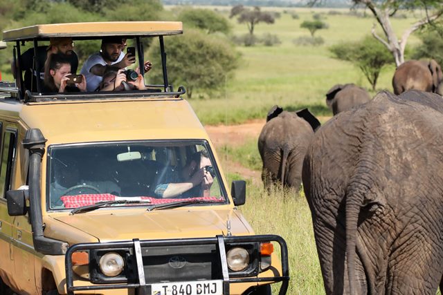 Wildlife encounters in Africa