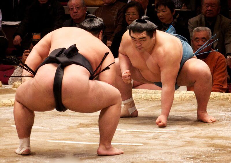 The Diet & Lifestyle of a Sumo Wrestler: A Guide