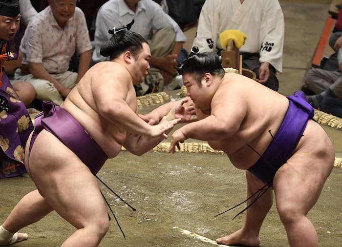What Makes a Winning Sumo Wrestling Strategy?